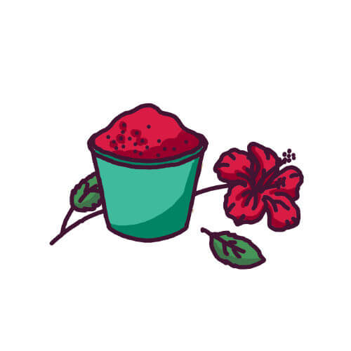 Poudre d'hibiscus